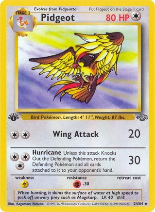 Pidgeot (24) 024/64 - 1st Edition Jungle - Rare
