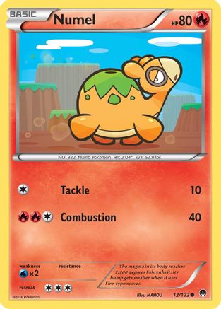 Numel 012/122 XY BREAKpoint - Common