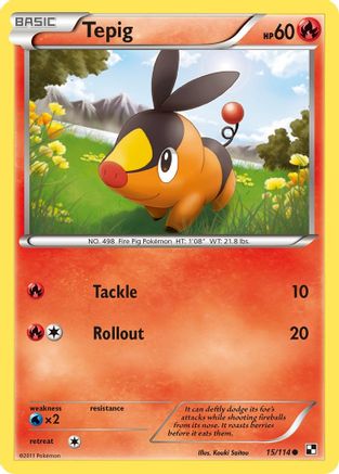 Tepig (15) 015/114 - Reverse Holofoil Black and White - Common