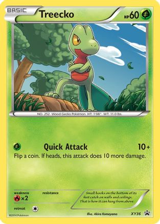 Treecko XY36 - Holofoil XY Promos - Promo