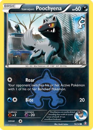 Team Aqua's Poochyena 016/34 - Reverse Holofoil Double Crisis - Common