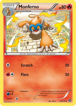 Monferno 019/114  XY  Steam Siege - Uncommon