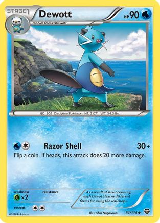 Dewott 031/114  XY  Steam Siege - Uncommon