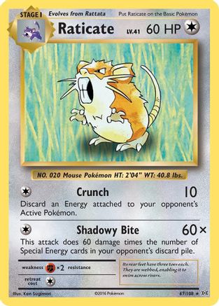 Raticate 067/108  - Reverse Holofoil XY  Evolutions - Rare