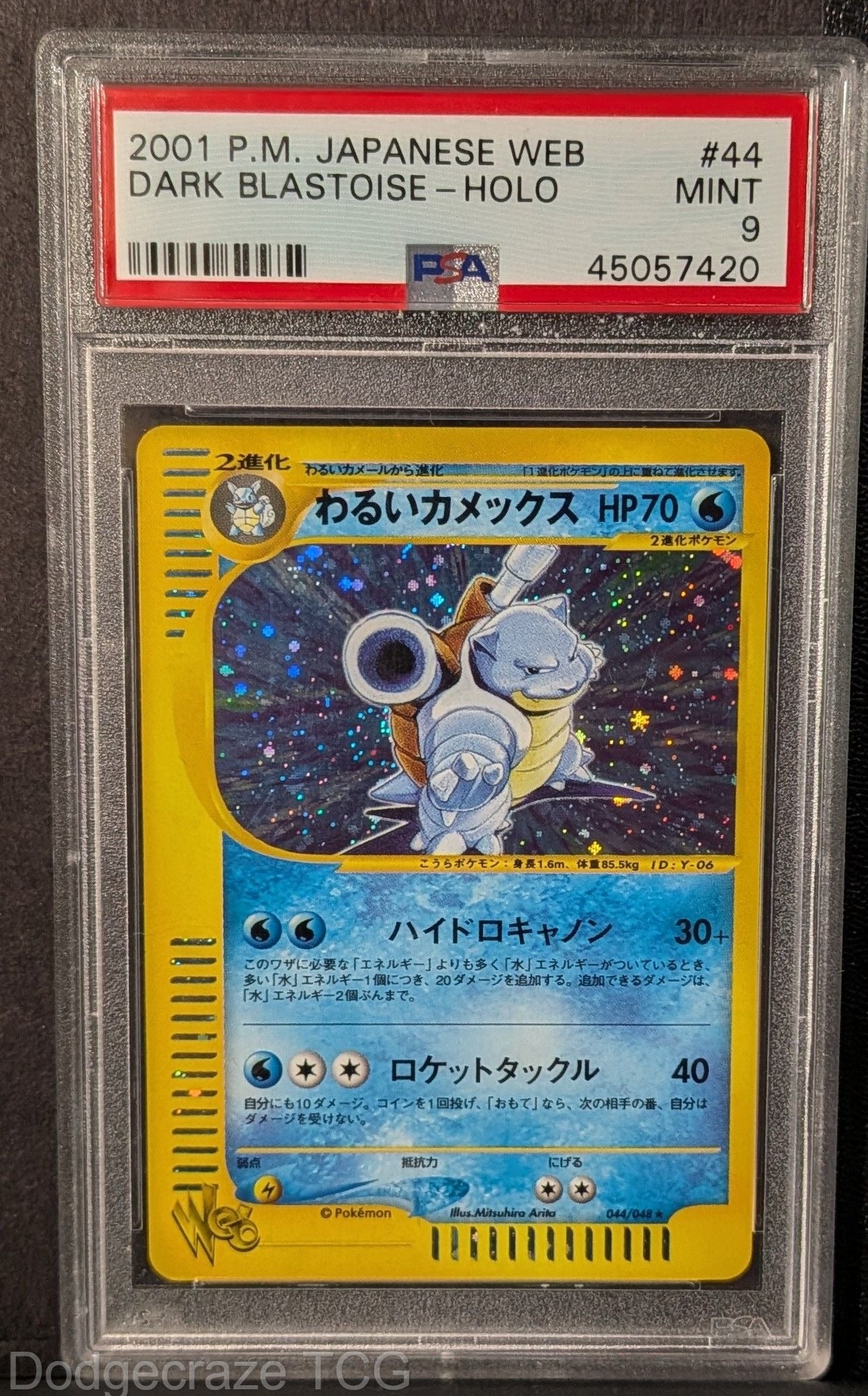 2001 Pokemon Web Dark Blastoise Holo 044/048 PSA 9
