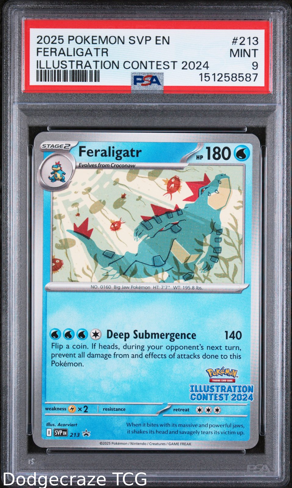 2025 Pokemon Sv Black Star Promo Feraligatr Illustration Contest 2024 213 PSA 9