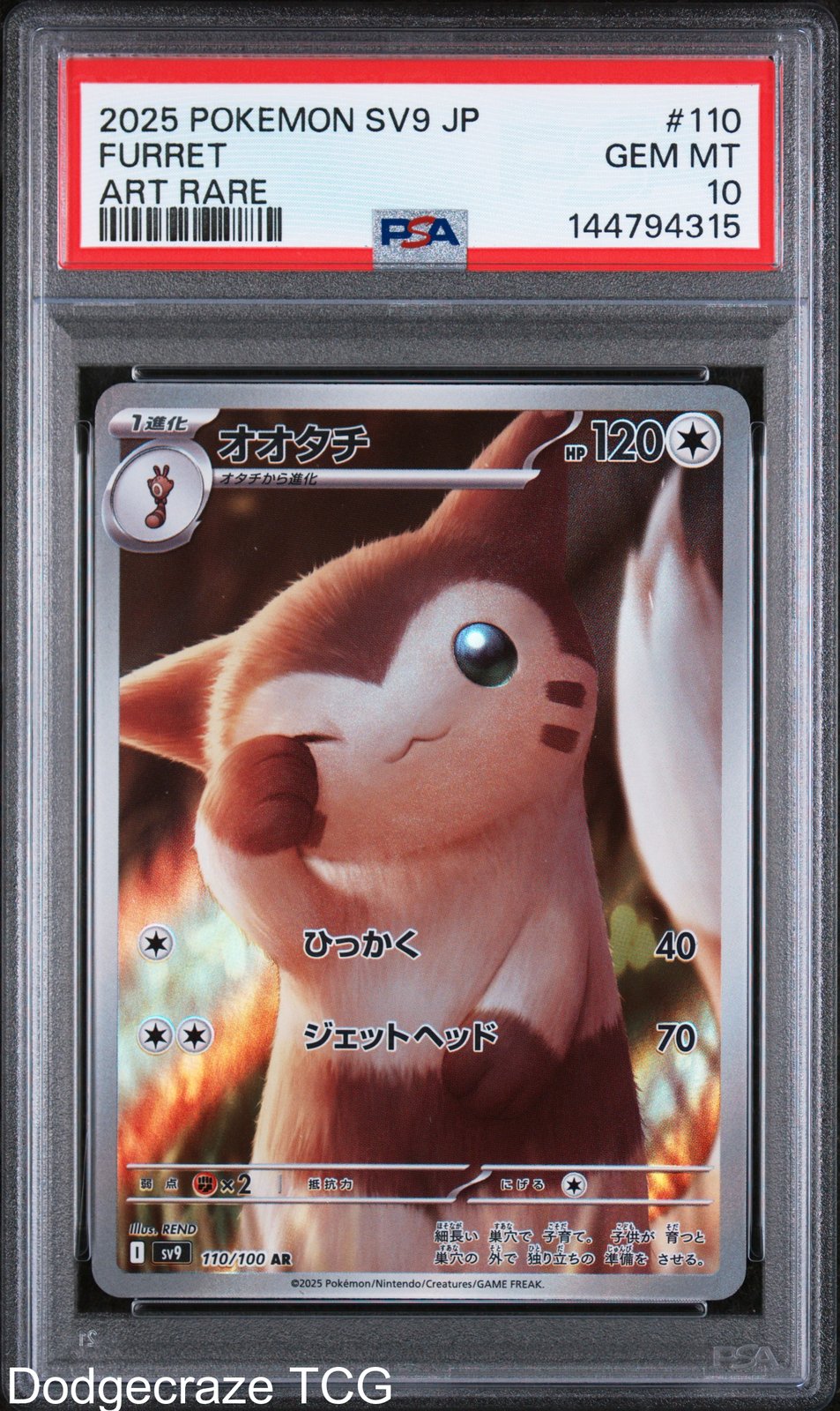 2025 Pokemon Sv9-battle Partners Furret Art Rare 110/100 PSA 10