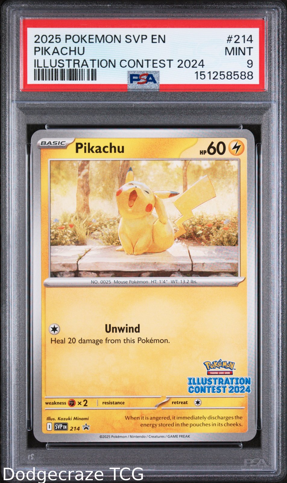 2025 Pokemon Sv Black Star Promo Pikachu Illustration Contest 2024 214 PSA 9