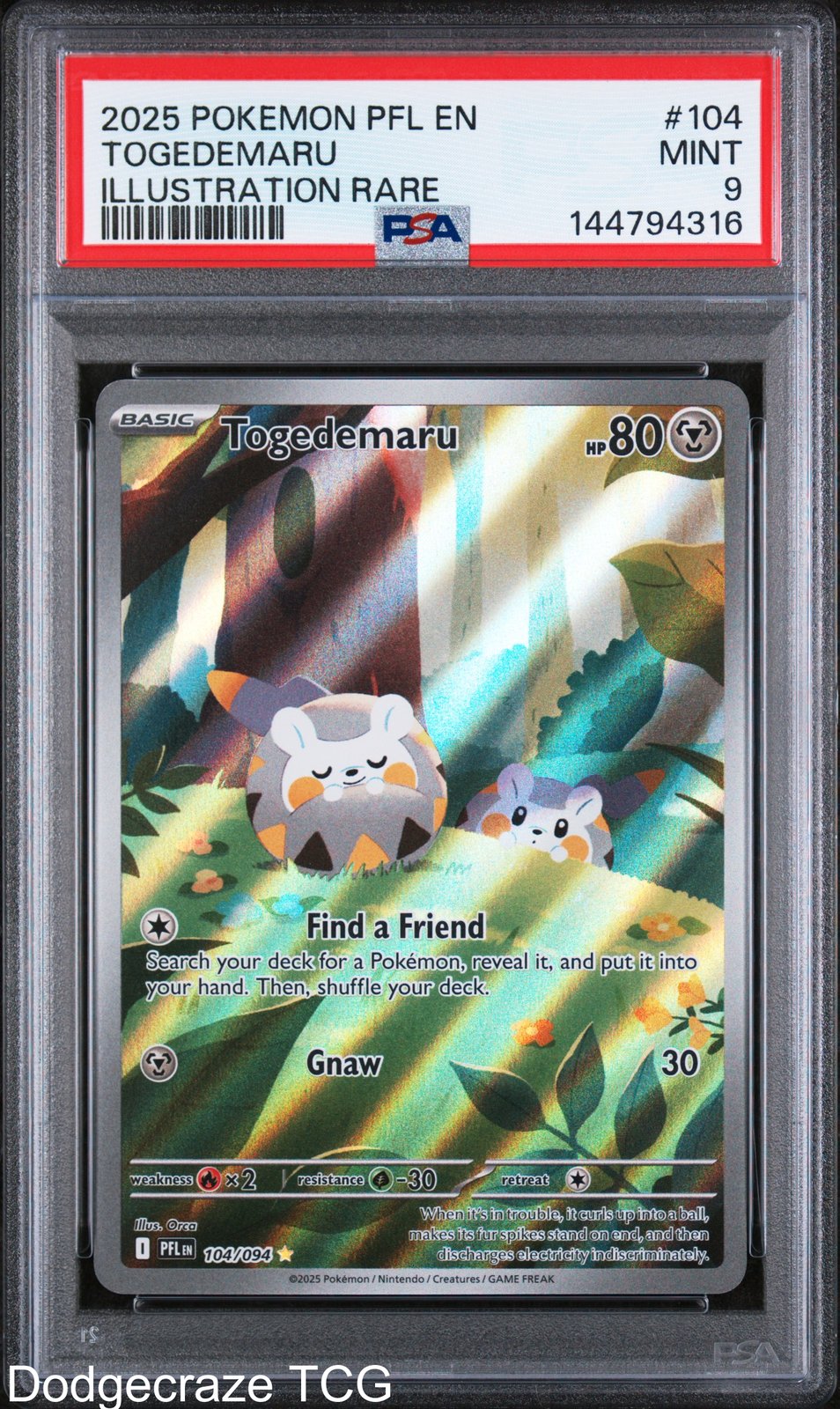 2025 Pokemon Pfl En-phantasmal Flames Togedemaru Illustration Rare 104/094 PSA 9