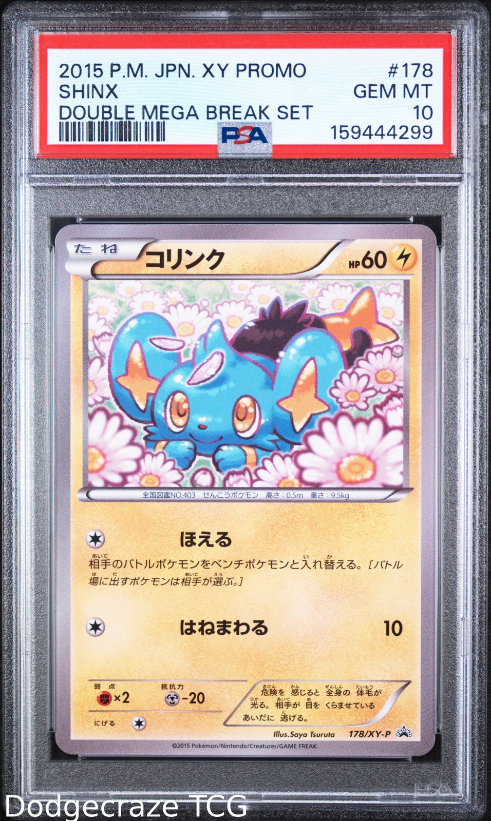 2015 Pokemon -P Promo Shinx Double Mega Break Set 178/XY-P PSA 10
