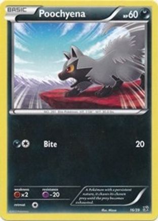 Poochyena 016  Kalos Starter Set - Common
