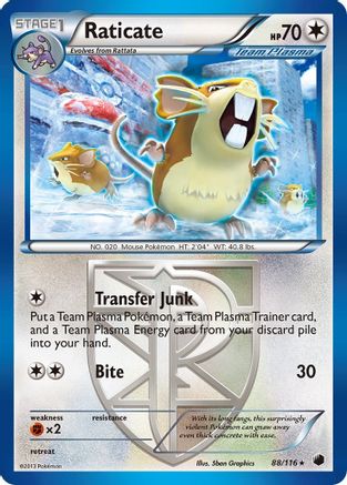 Raticate (Team Plasma) 088/116  - Reverse Holofoil Plasma Freeze - Rare
