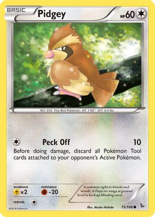 Pidgey 075/106  XY  Flashfire - Common