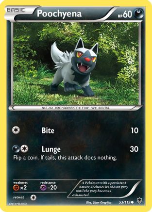 Poochyena 053  XY  Phantom Forces - Common