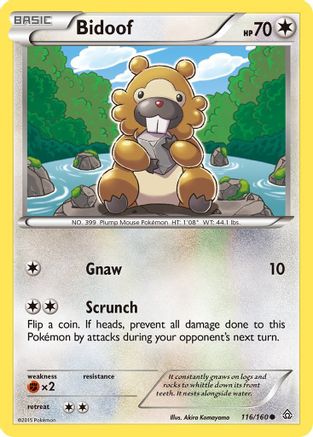 Bidoof 116/160  - Reverse Holofoil XY  Primal Clash - Common