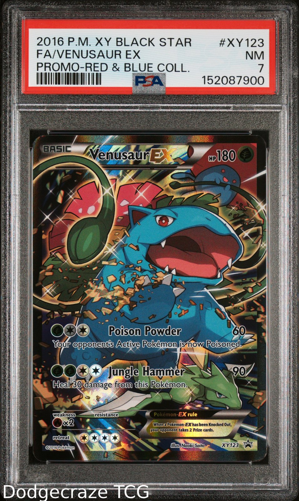 2016 Pokemon Black Star Promo Venusaur EX Red & Blue Collection XY123 PSA 7