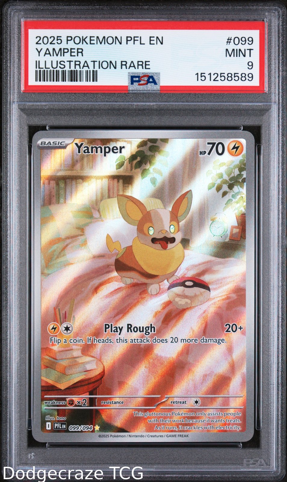 2025 Pokemon Pfl En-Phantasmal Flames Yamper Illustration Rare 099/094 PSA 9