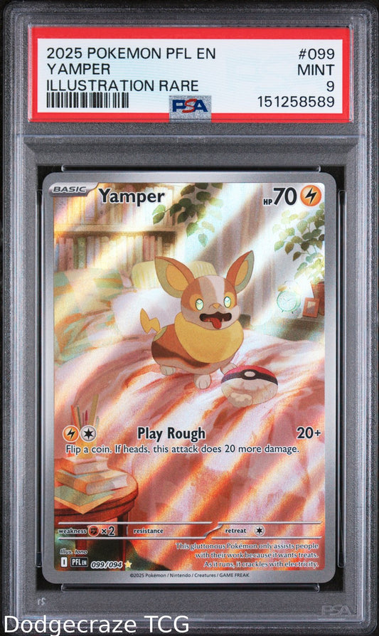 2025 Pokemon Pfl En-Phantasmal Flames Yamper Illustration Rare 099/094 PSA 9