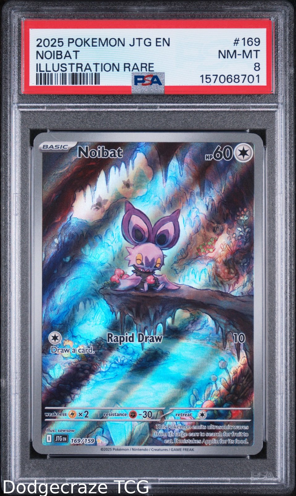 2025 Pokemon Journey Together Noibat Illustration Rare 169/159 PSA 8