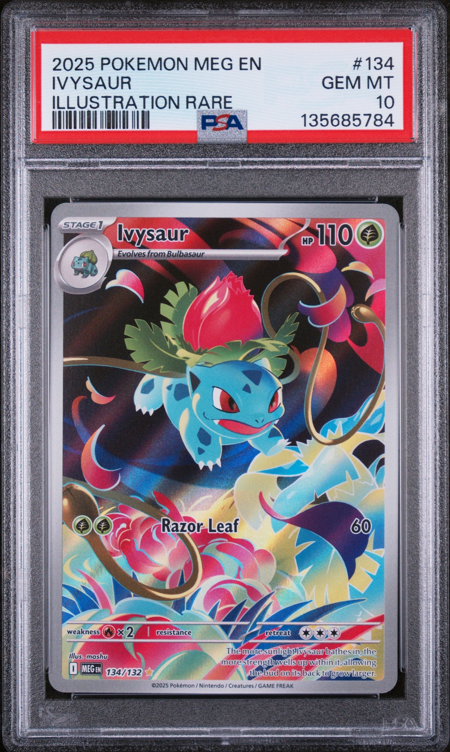 2025 Pokemon Meg En-mega Evolution Ivysaur Illustration Rare 134/132 PSA 10