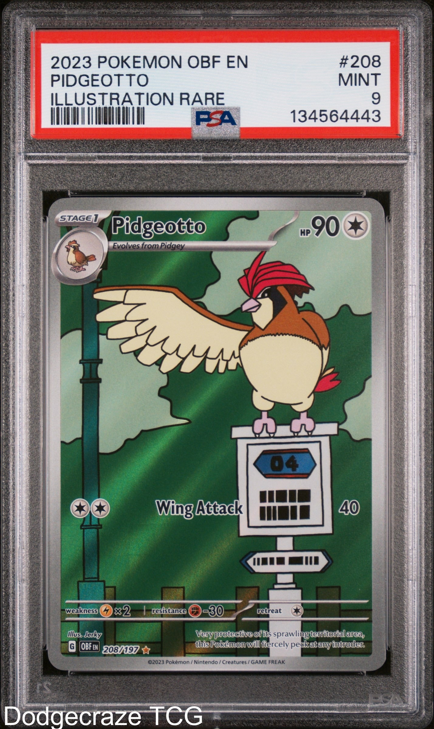 2023 Pokemon Obf En-obsidian Flames Pidgeotto Illustration Rare 208/197 PSA 9