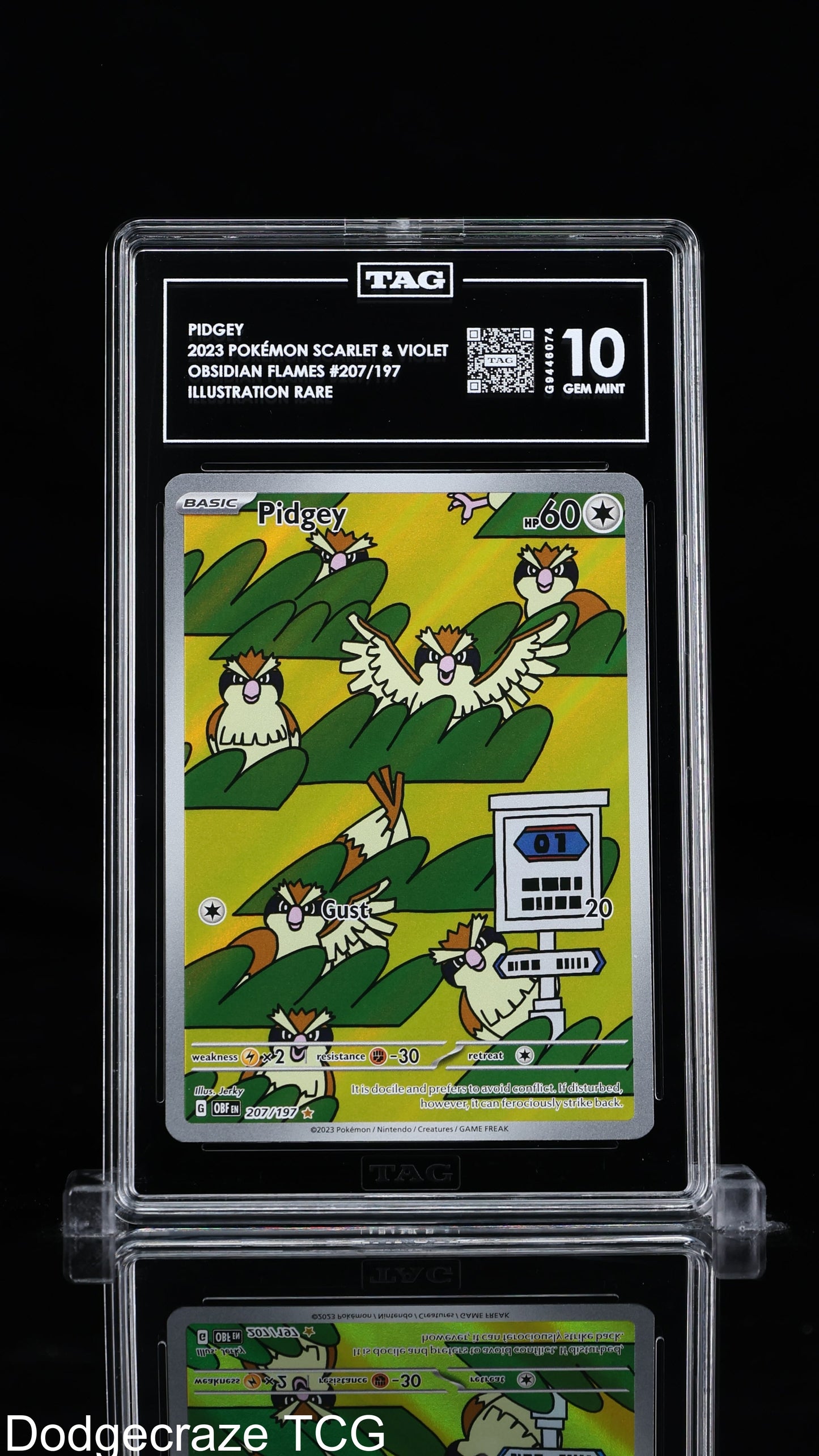 2023 Pokemon Obsidian Flames Pidgey Illustration Rare 207/197 Tag 10 Gem Mint