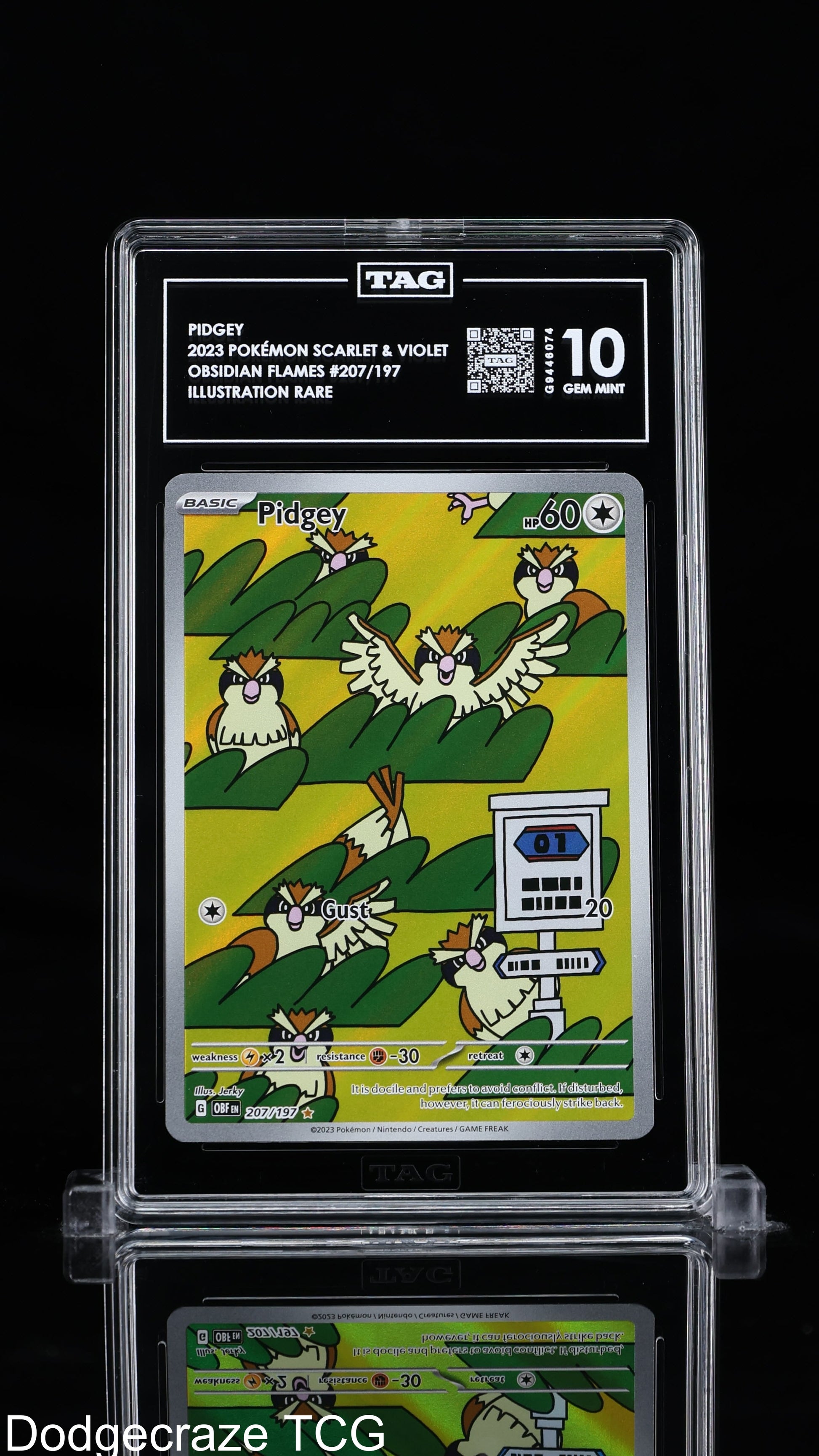 2023 Pokemon Obsidian Flames Pidgey Illustration Rare 207/197 Tag 10 Gem Mint